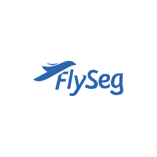 FlySeg
